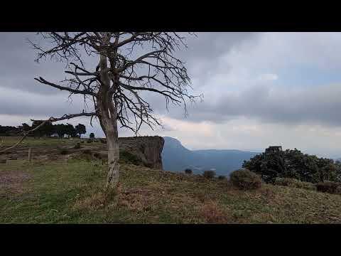 Preview image for the video "Busa 2022-VID 20220902 181717".