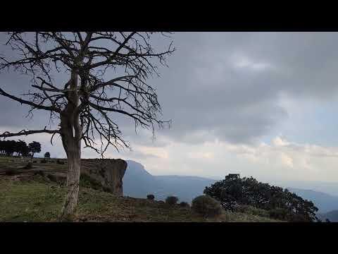 Preview image for the video "Busa 2022-VID 20220902 181919".