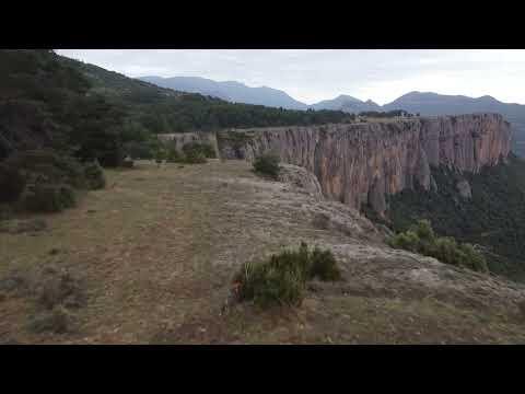 Preview image for the video "Busa 2023 09 dji0932".